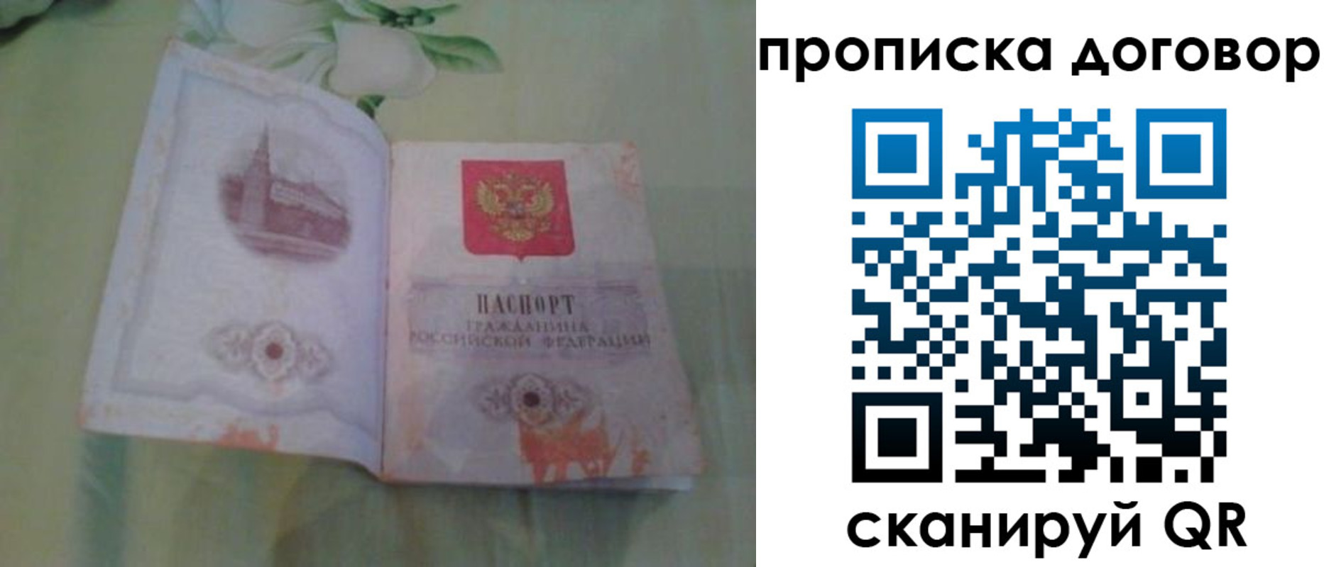 временная регистрация гарантия в Можайске